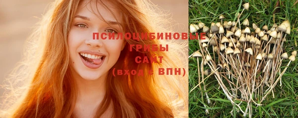 соль курить ск Струнино